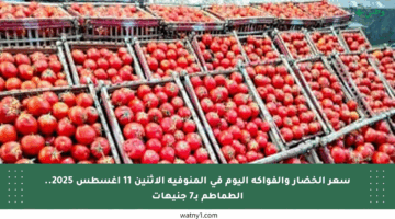 سعر الخضار والفواكه اليوم في المنوفية الاثنين 11 أغسطس 2025.. الطماطم بـ7 جنيهات